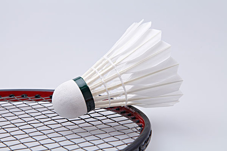 收入损失 收入损失