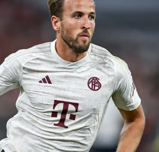 正印证了他 正印证了他